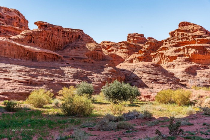 jardin wadi rum desert jordanie