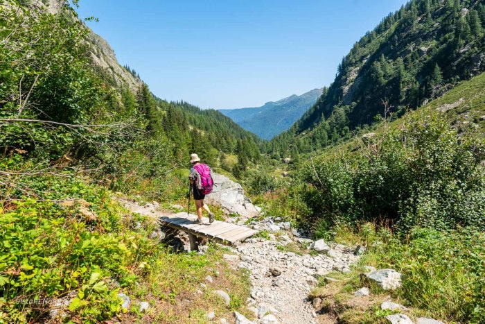 Chemin longeant l'eau de Bérard après le refuge Pierre à Bérard dans le massif dans Aiguilles rouges