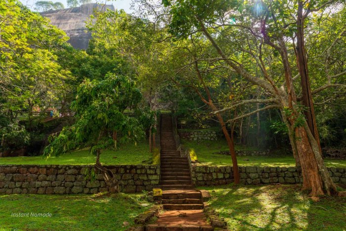 escaliers dans la verdure des jardins de sigiriya