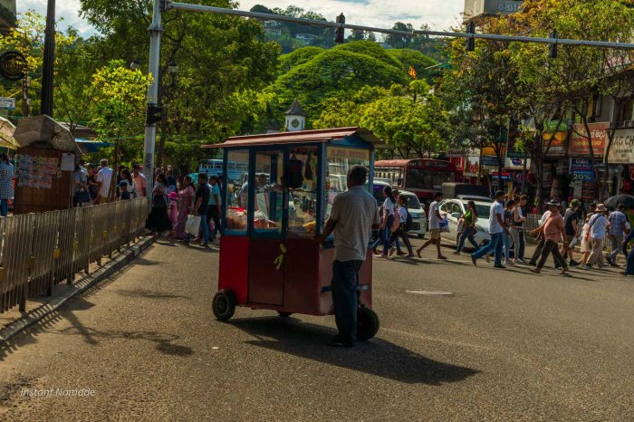 marchant ambulant dans kandy au sri lanka