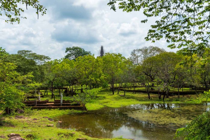 paysage verdyant à polonnaruwa