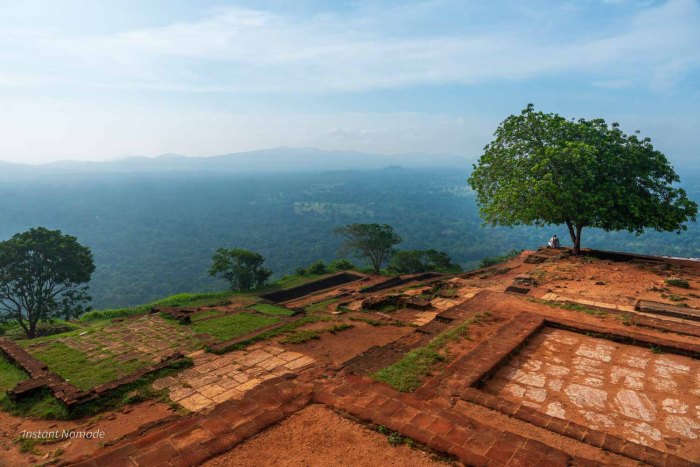 personne qui se repose à l'ombre d'un arbre sur le site du rocher du lion à sigiriya