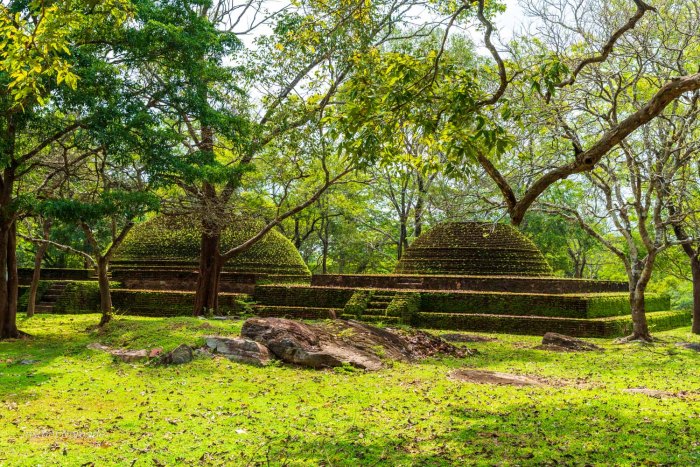 stupa dans un paysage verdoyant à polonnaruwa au sri lanka