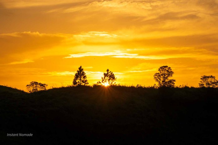 coucher de soleil ombre arbre sri lanka knuckles