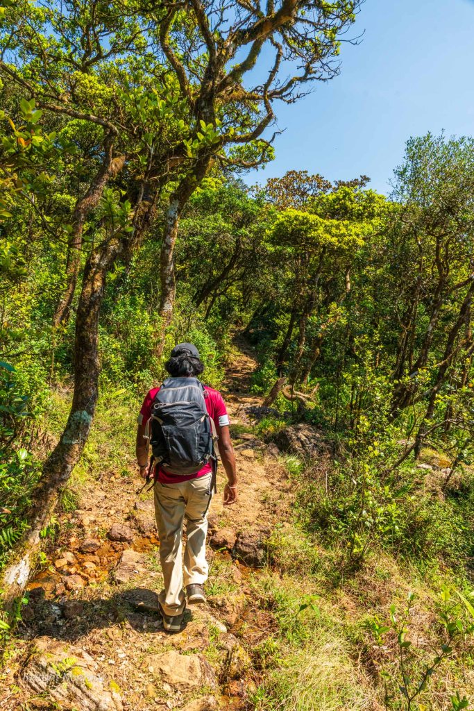 guide trek sri lanka knuckles