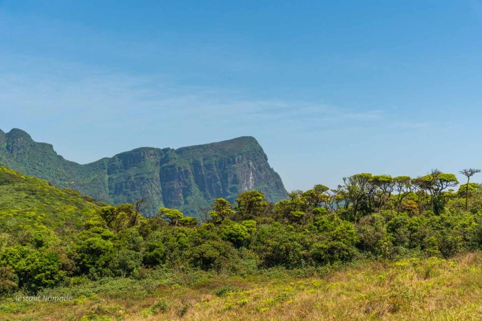 montagne dans les knuckles randonnée sri lanka
