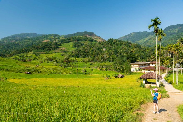 photographe randonneuse riziere sri lanka knuckles