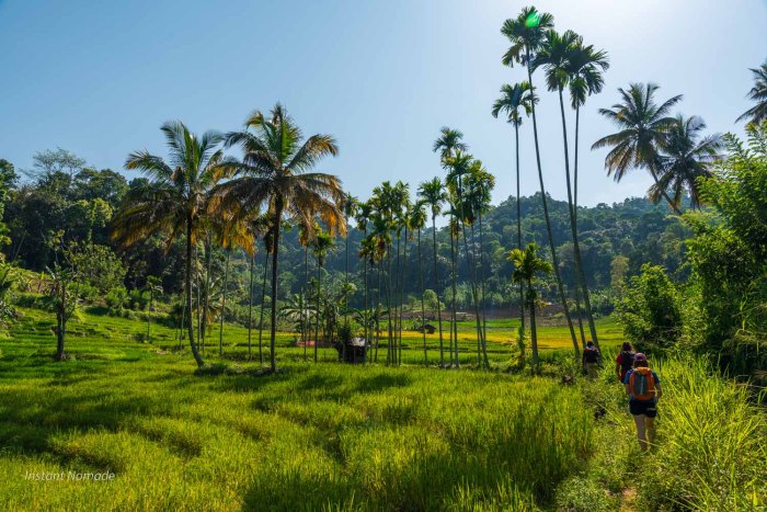 randonneurs riziere knuckles sri lanka (2)