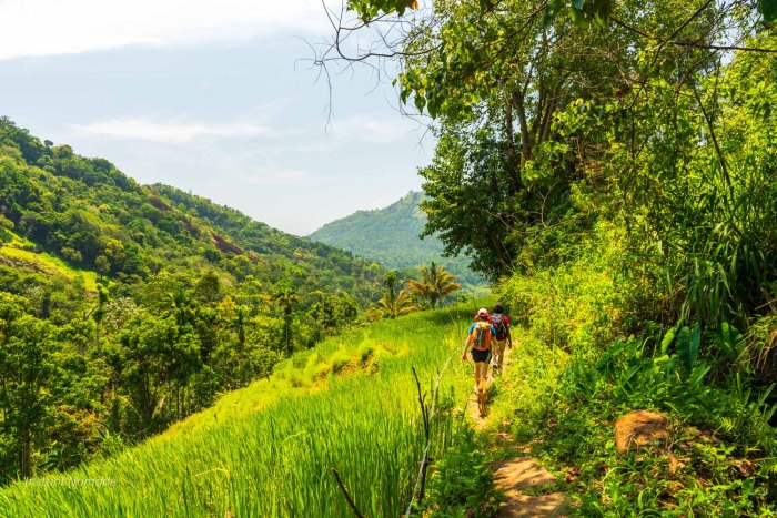 randonneurs riziere knuckles sri lanka