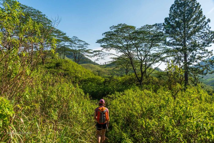 randonneuse nature sri lanka knuckles