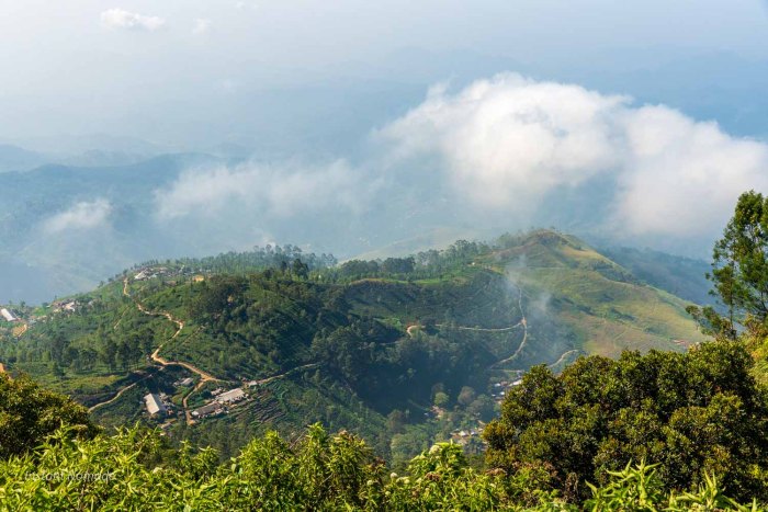 lipton seat sri lanka