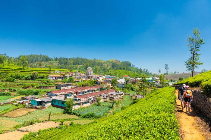 randonnee lipton seat sri lanka