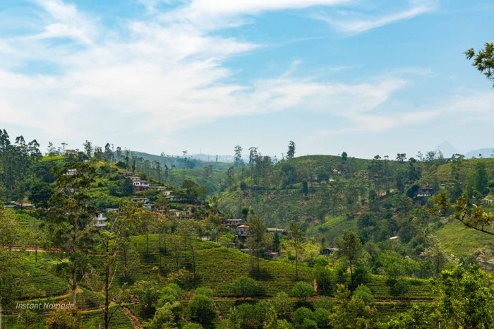 village dans plantations de the vu du train kandy sri lanka