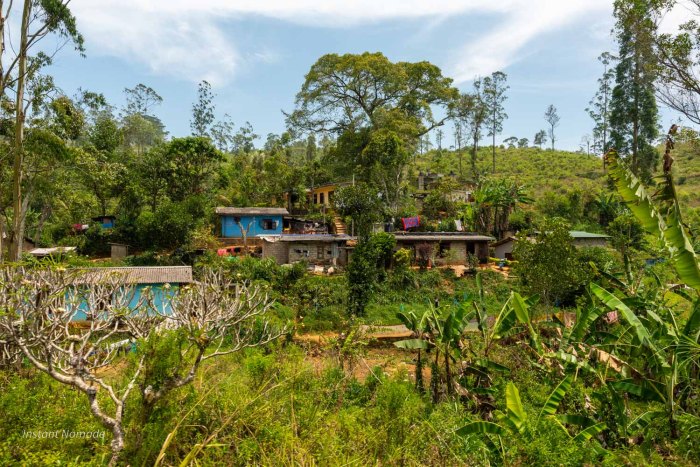 village sri lanka au milieu de la jungle