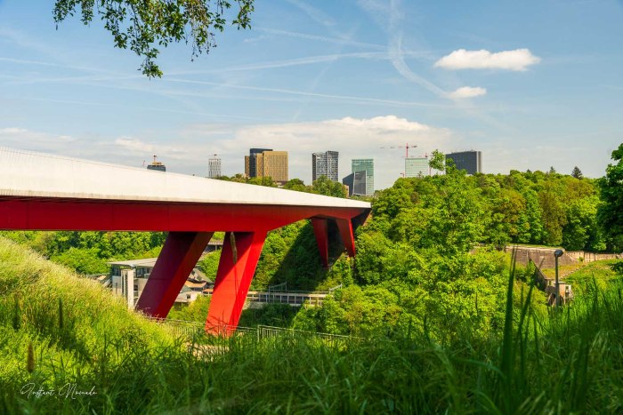 pont grande duchesse charlotte luxembourg