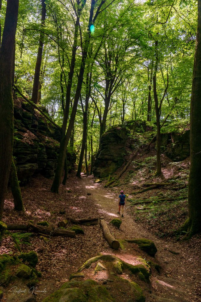 promeneuse dans mullerthal