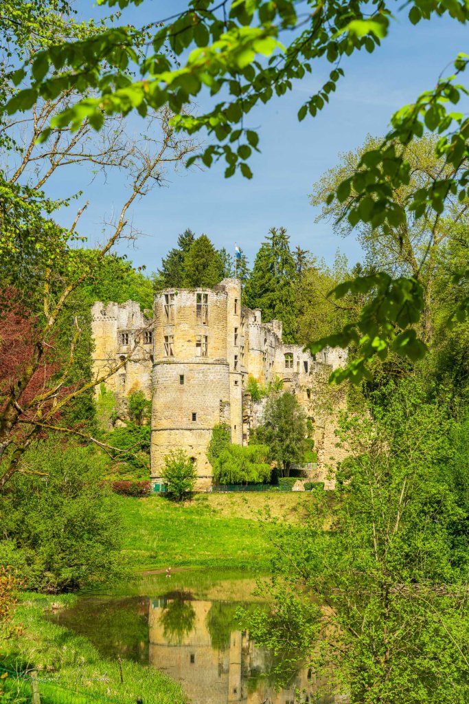 vue sur le chateau beaufort luxembourg