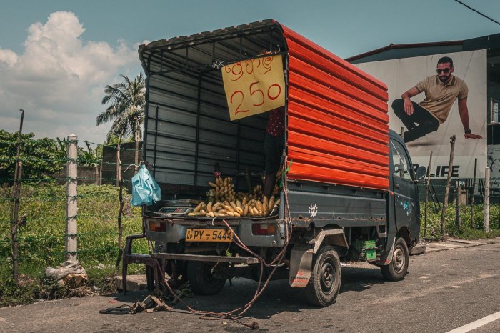 camion banane galle sri lanka