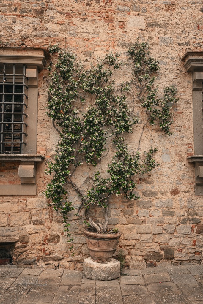 Badda a Coltibuono abbaye