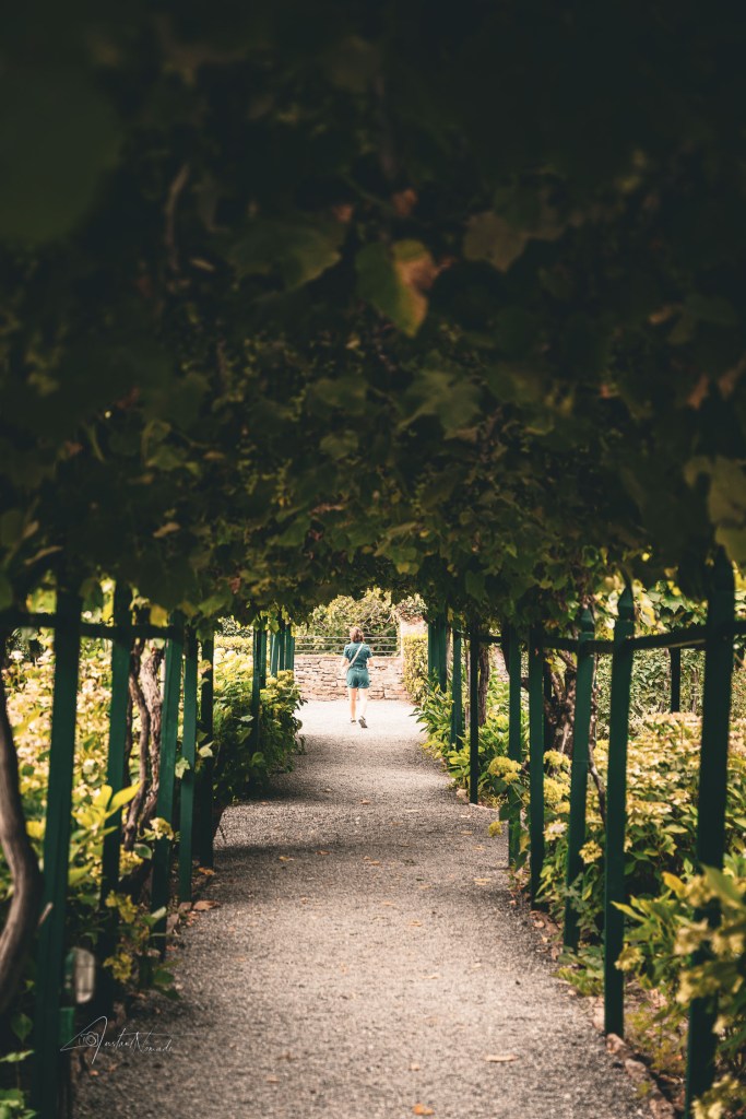 Badda a Coltibuono toscane