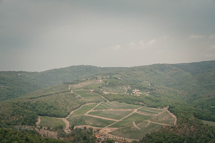 paysage typique toscane radda in chianti