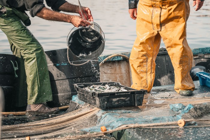 pecheur bateau vieux port