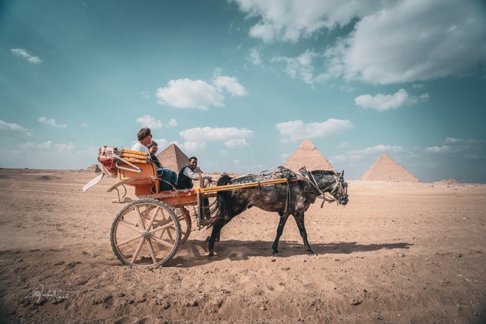 calèche devant les pyramides