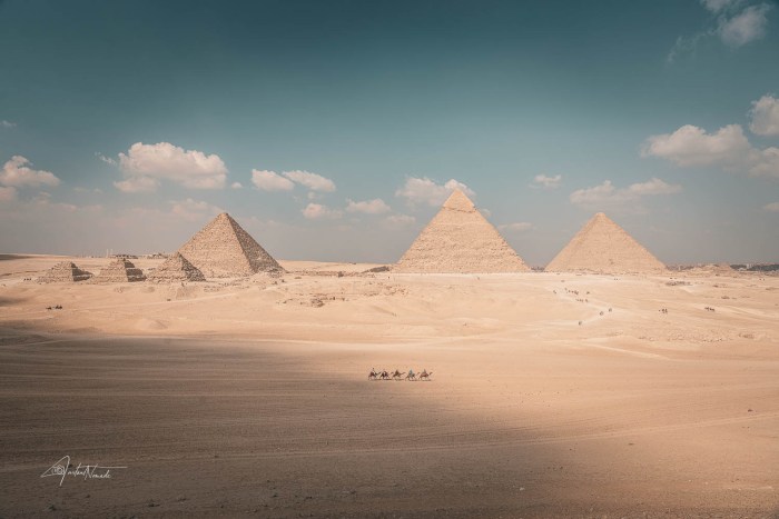 caravane dromadaires passant devant les pyramides de gizeh en egypte
